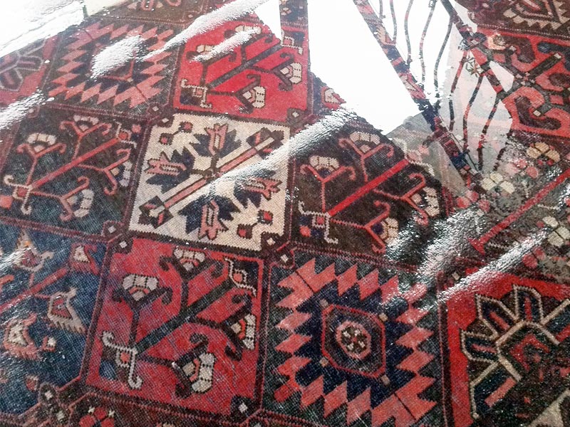 Rug wet from a flood? - Oriental Rug Cleaning Orlando