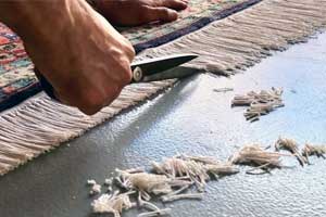 rug grooming