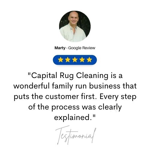 area rug cleaning review